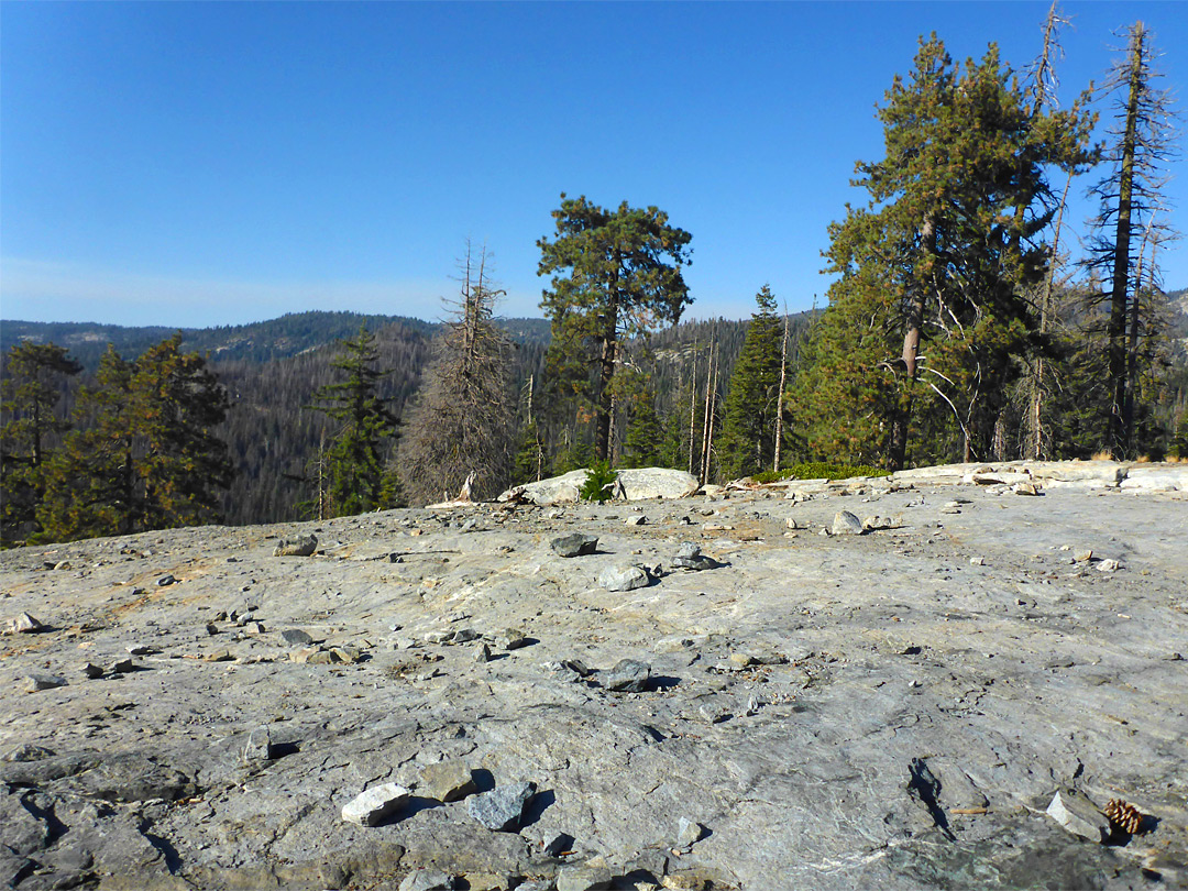 Granite outcrop