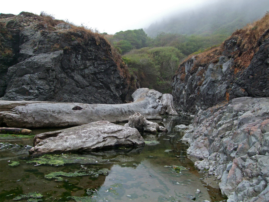 Enderts Beach, Redwood National Park