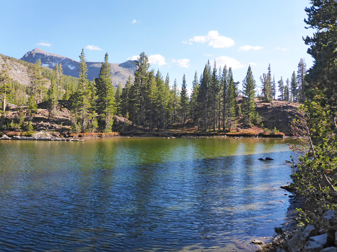 Mt Dana
