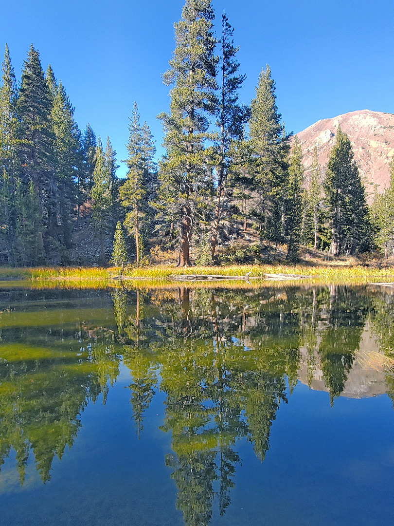 Reflections on a pond