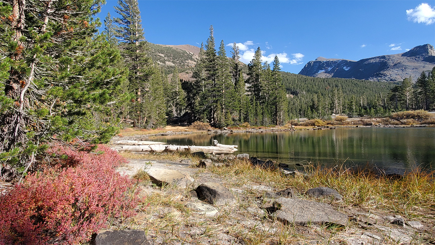 Pond, trees and mountains