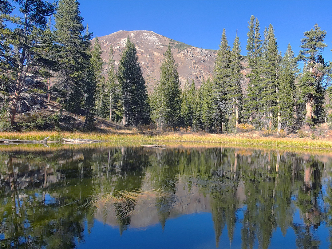 Tioga Peak