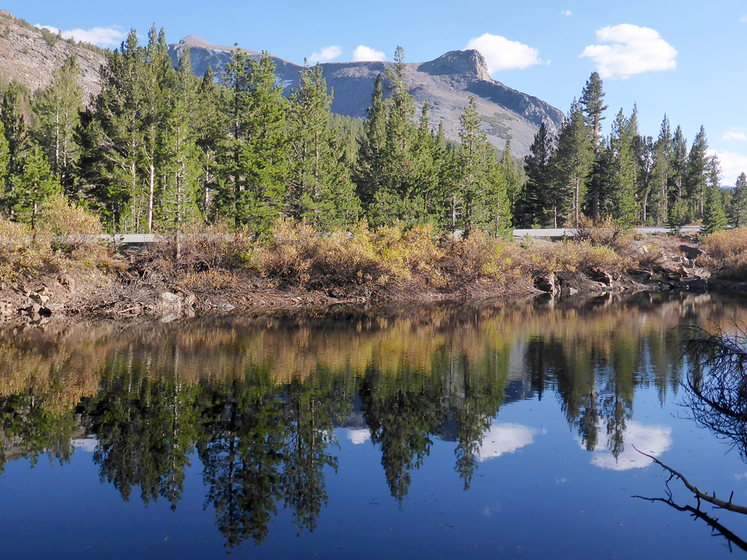 Tioga Road
