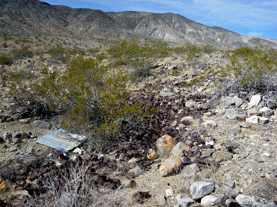 Many rusty cans