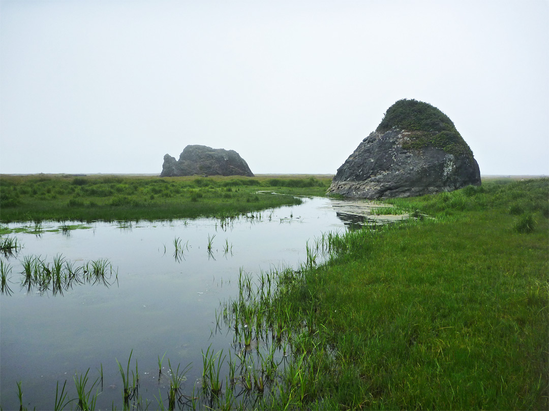 Marshy stream