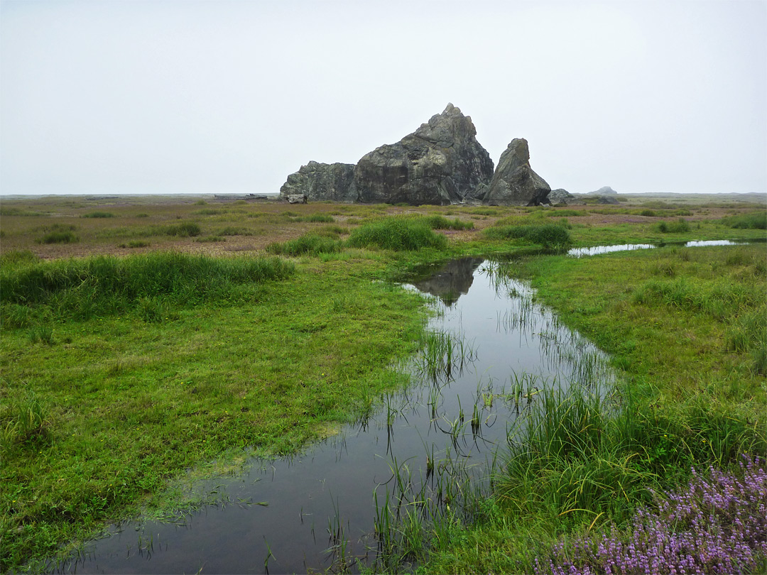 Ossagon Trail, Prairie Creek Redwoods State Park