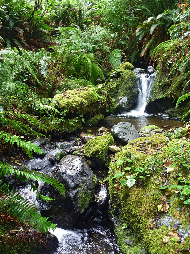 Waterfall on Ossagon Creek