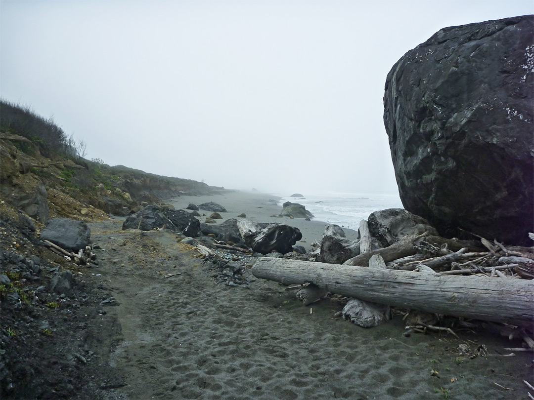 Driftwood