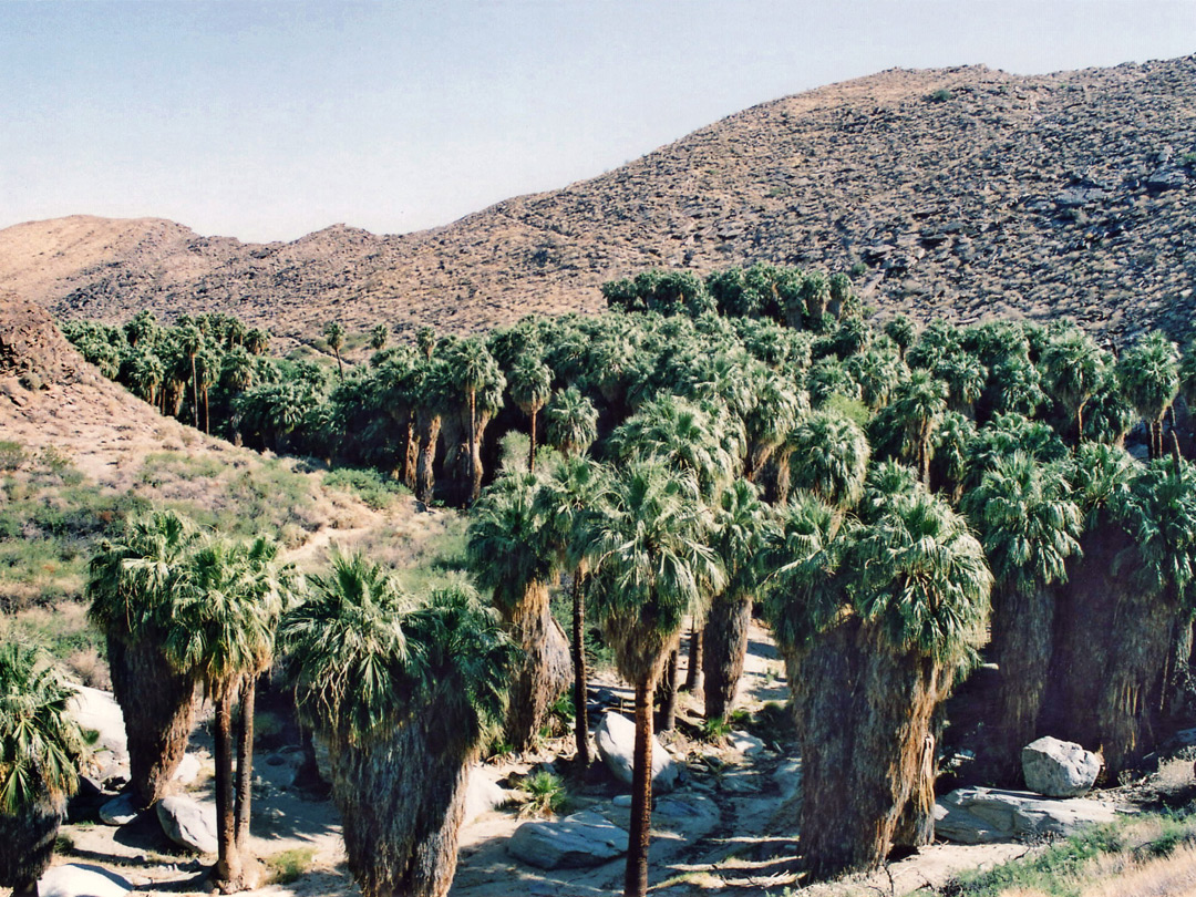 View from the carpark