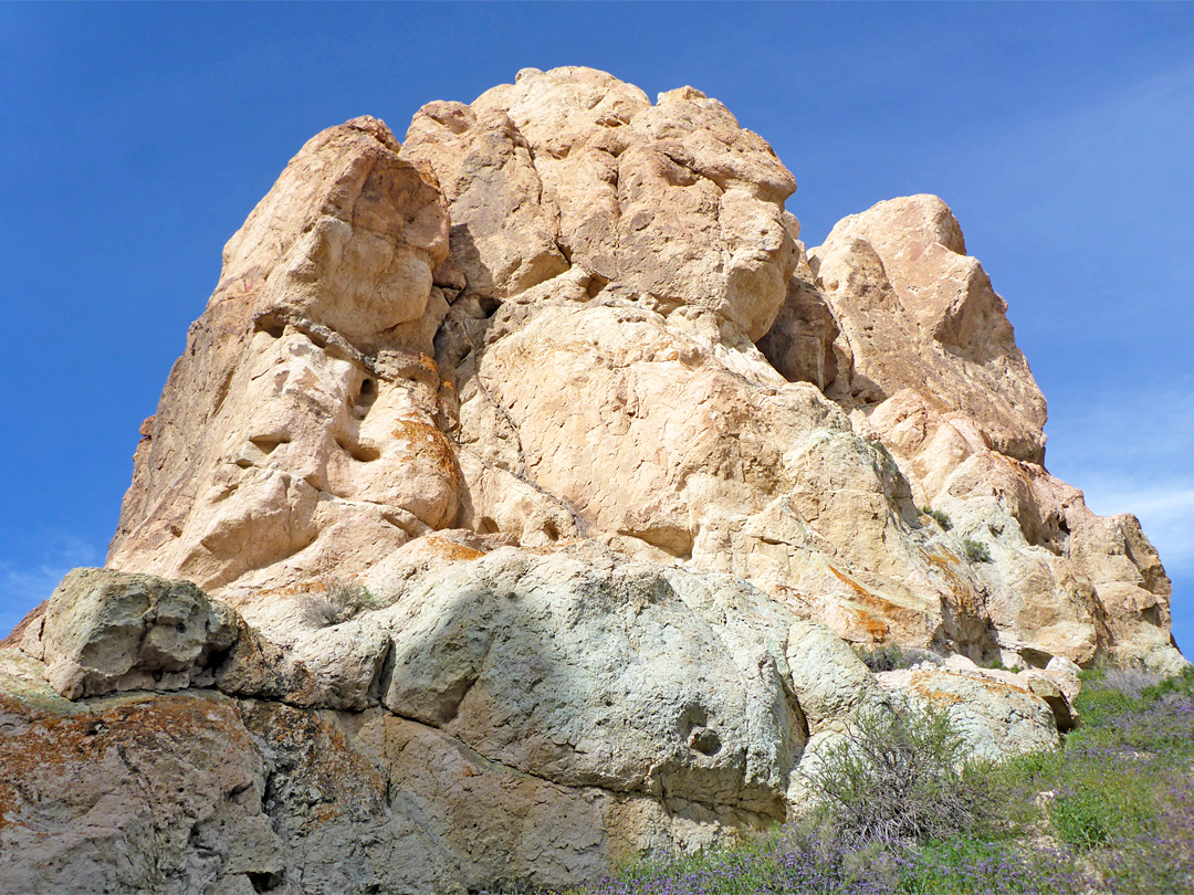 Rock outcrop