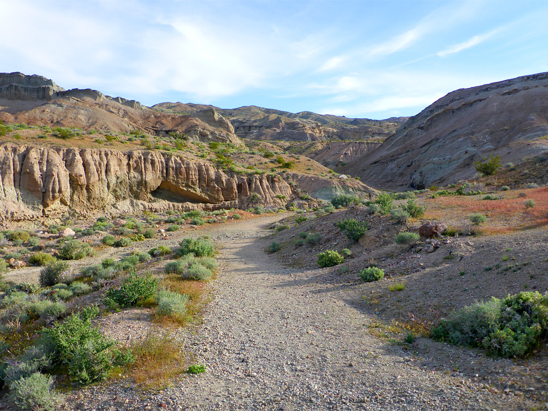 Shallow streambed