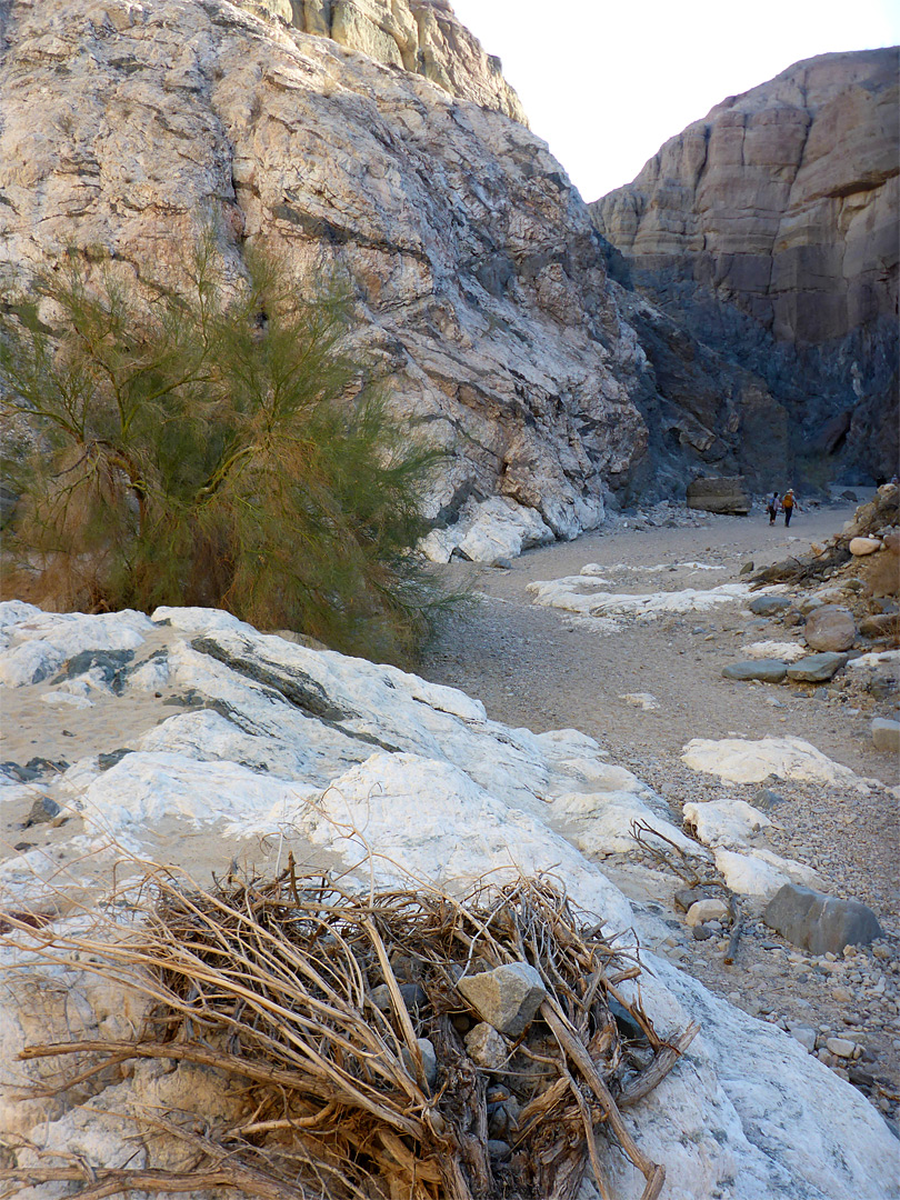 Stony streambed