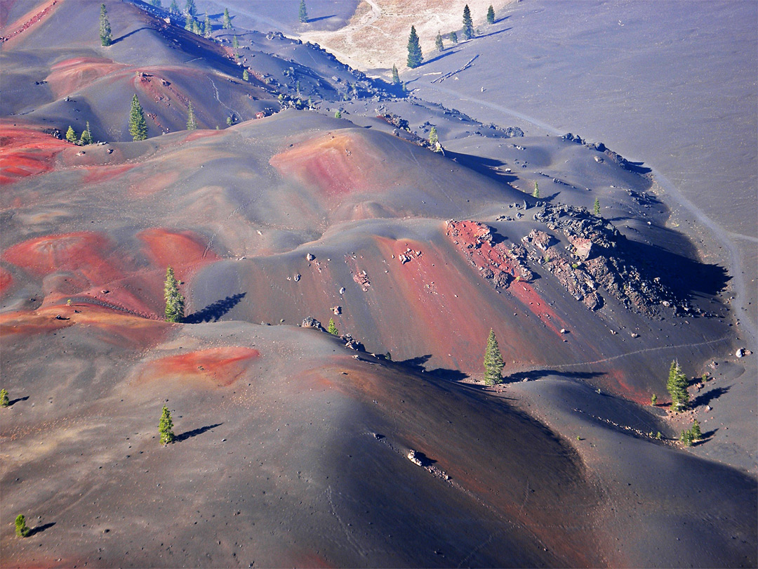 Painted Dunes