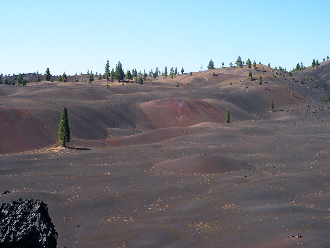 Edge of the Painted Dunes