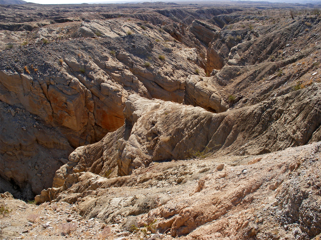 The narrow ravine of Palm Wash