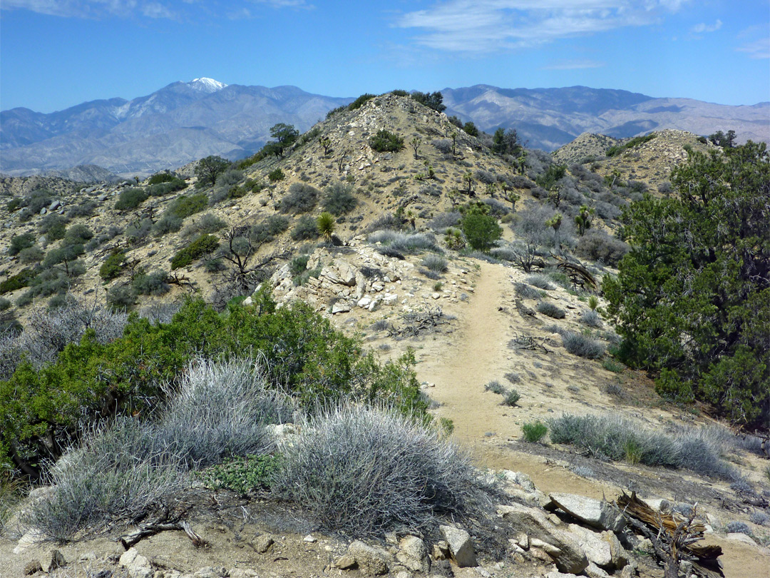 Highpoint of the trail