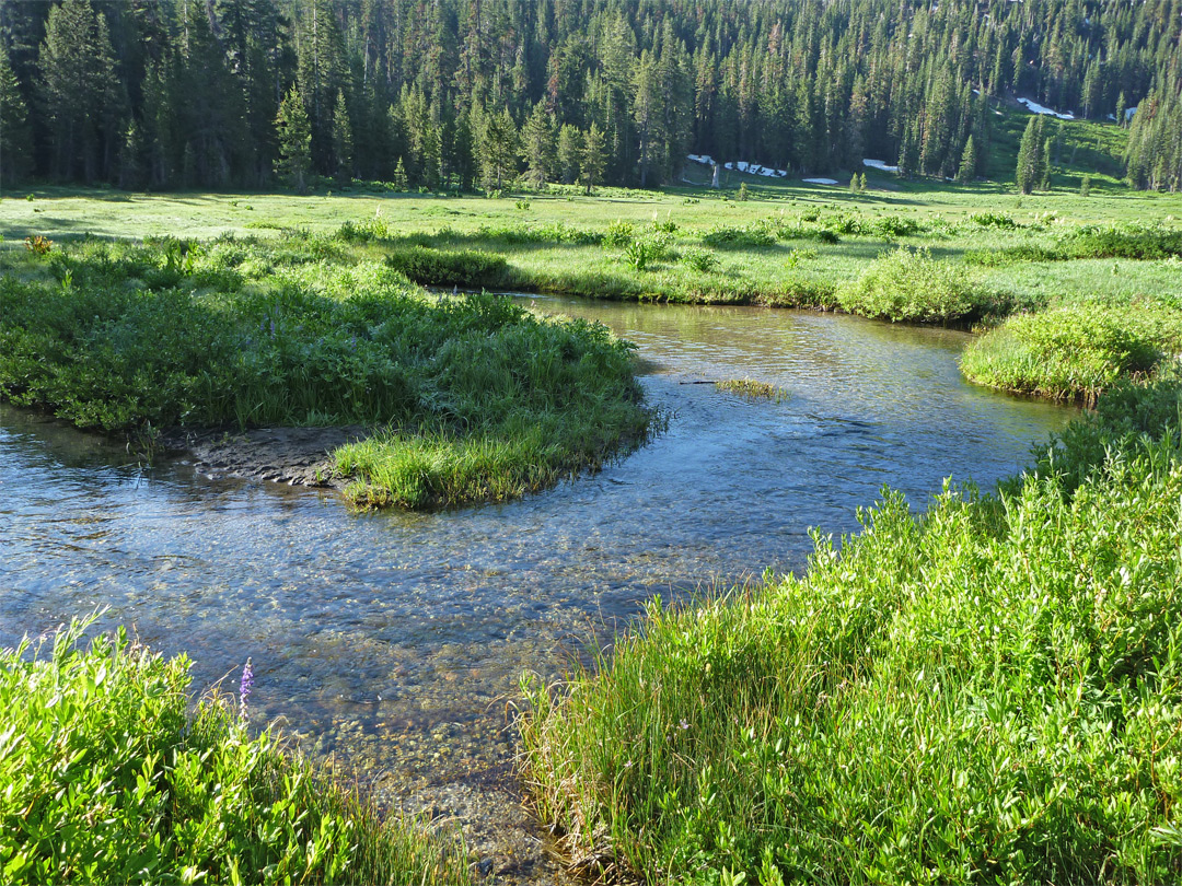 Bend on the creek