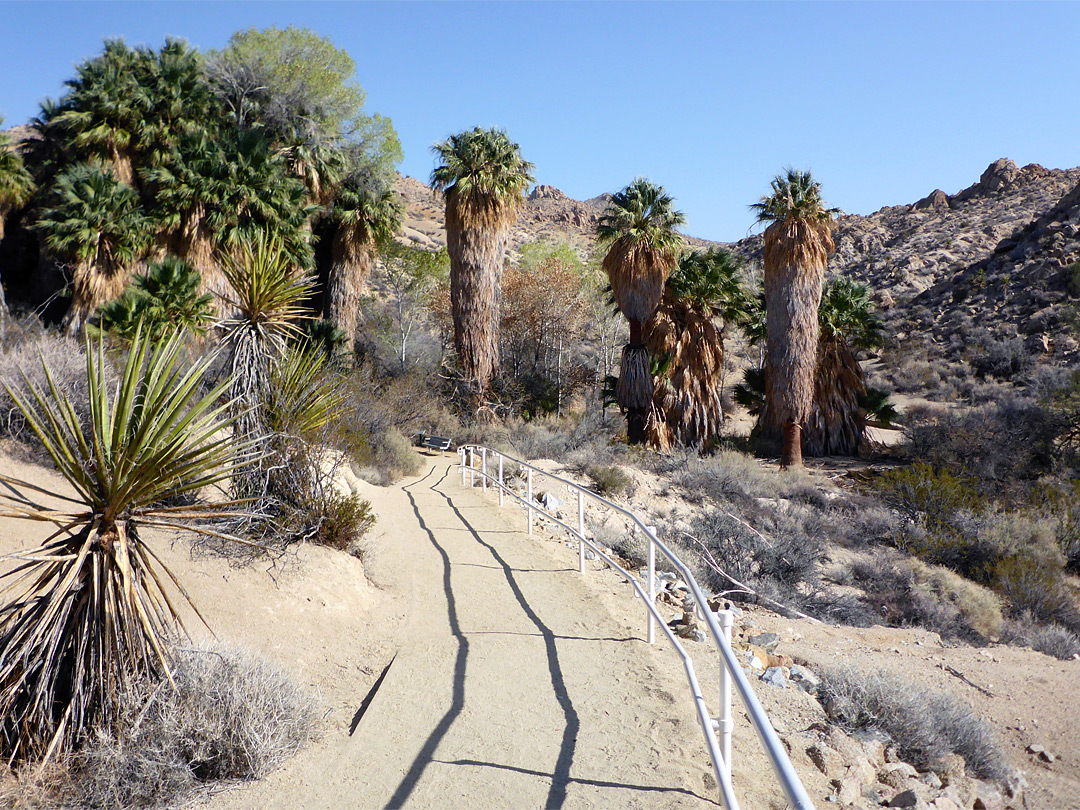Start of the path