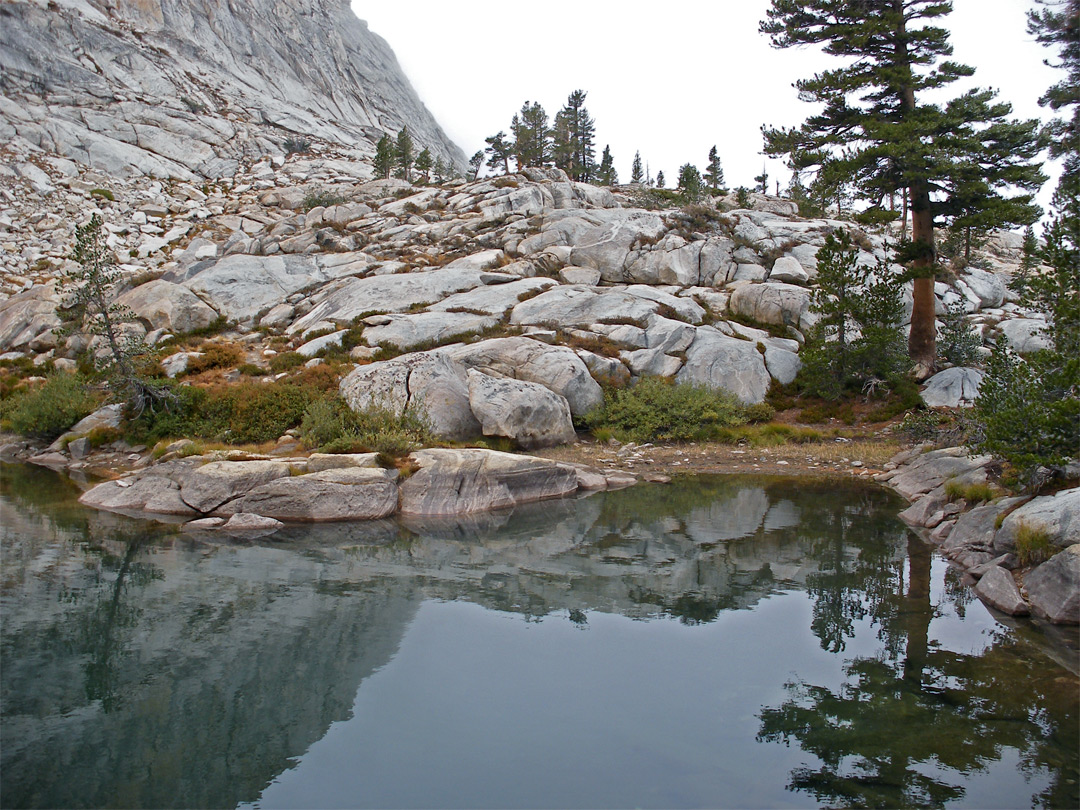 Reflections on Pear Lake