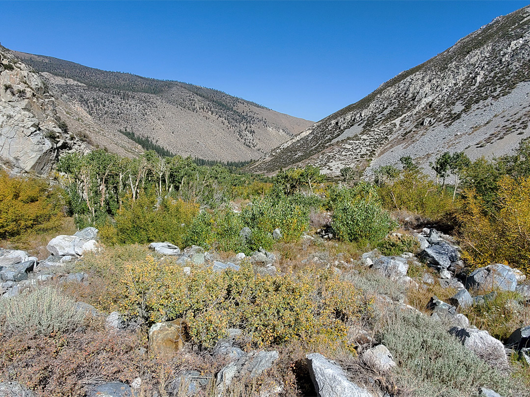 Lower end of the valley