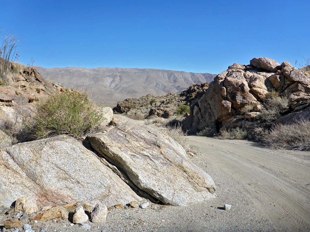 Road in the lower canyon