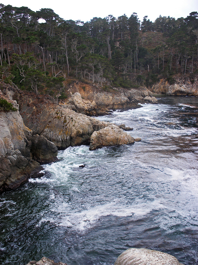 Rocks in Bluefish Cove