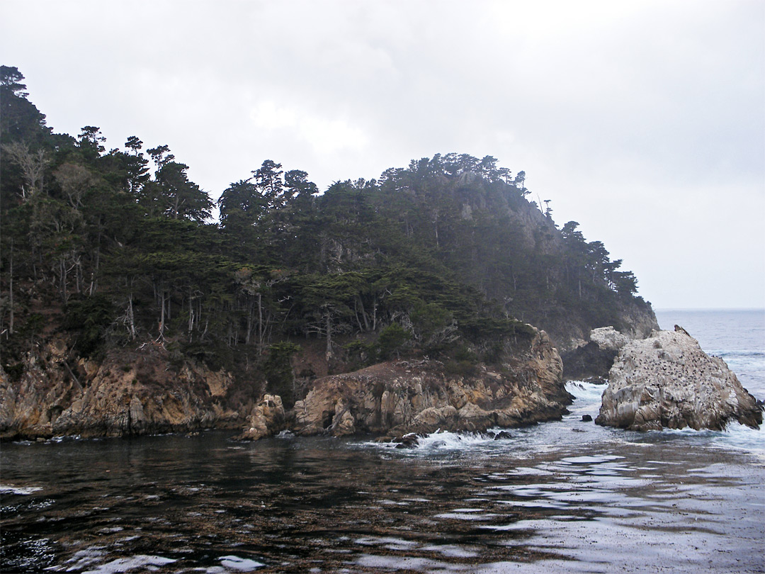 Edge of Bluefish Cove