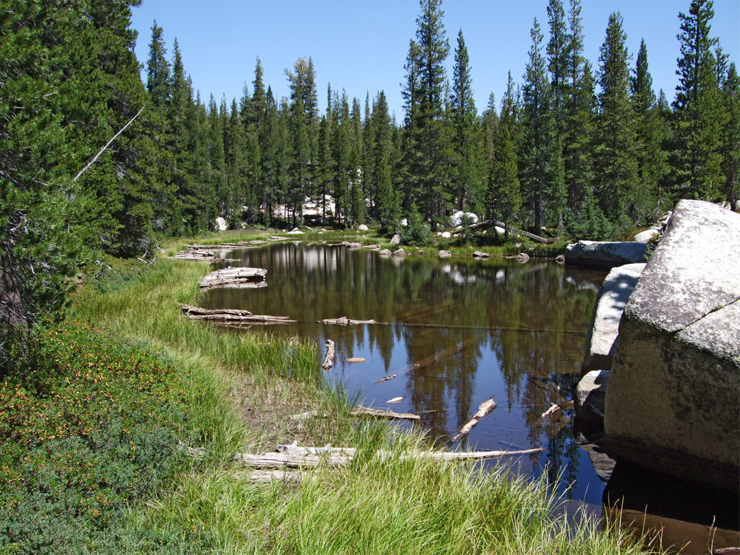 Shallow pond