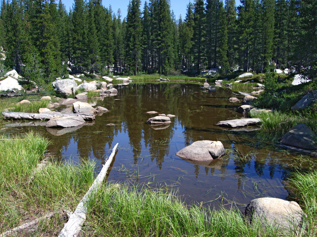 Pond along the trail