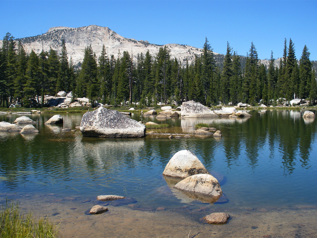 Tuolumne Peak