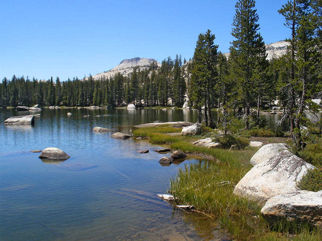 Edge of Polly Dome Lake