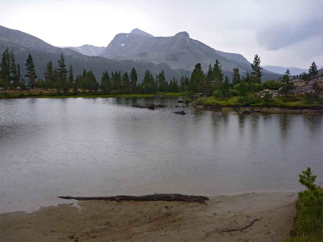 Pond beside the trail