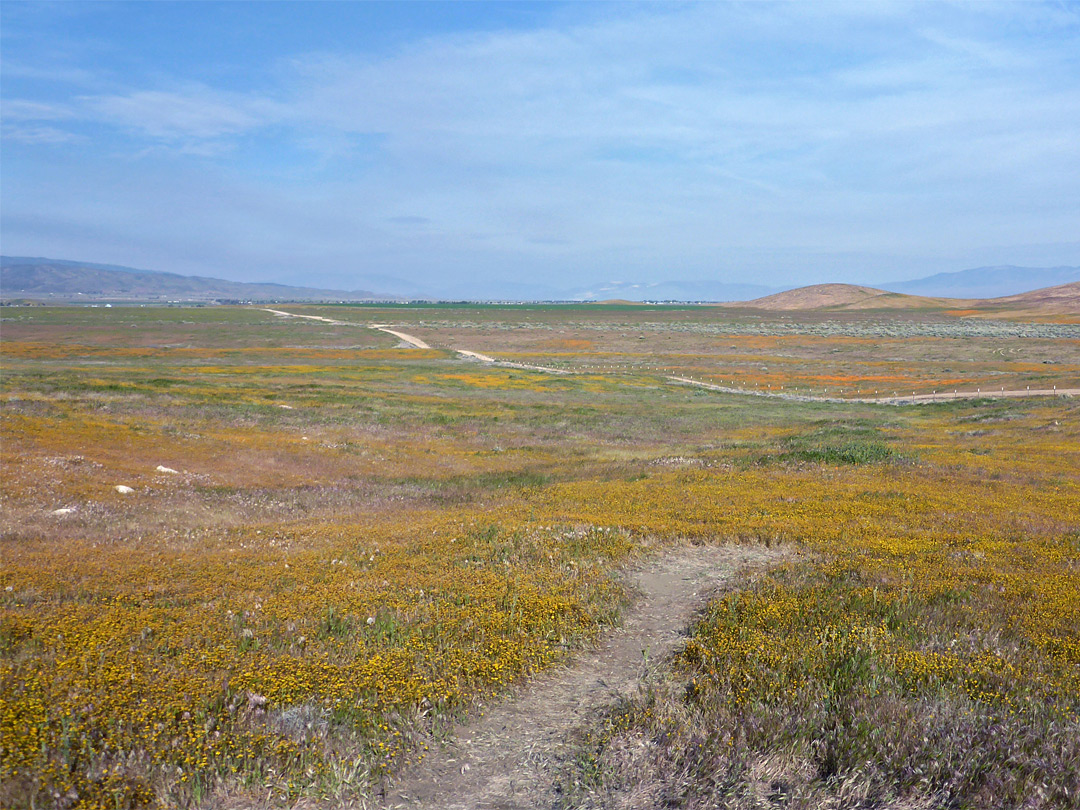 Fields to the west