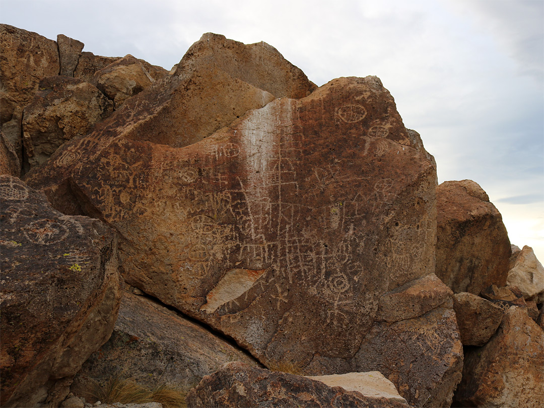 Group of petroglyphs