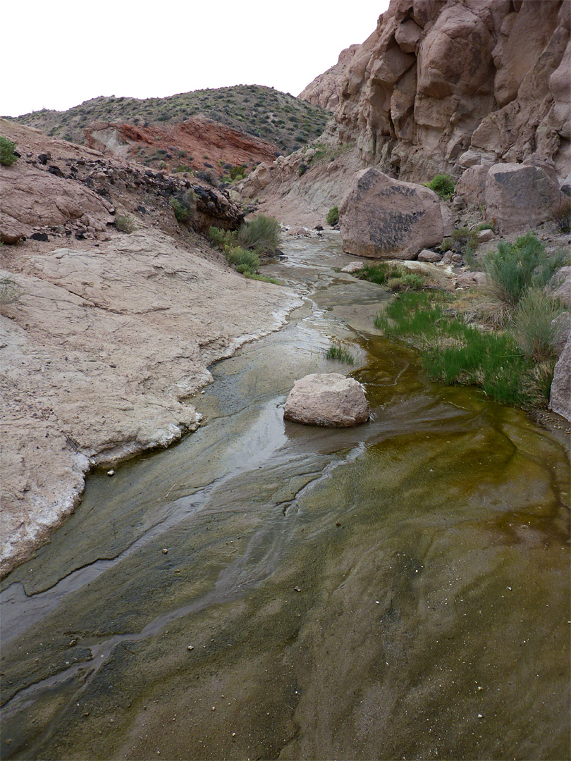 Algae-lined creek