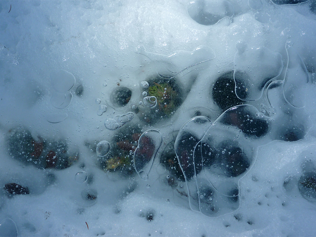 Bubbles in ice