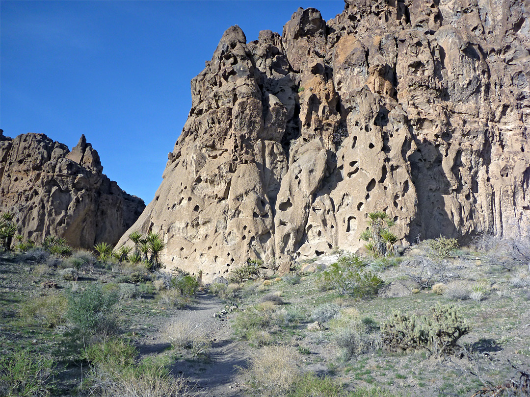 Desert below the canyon