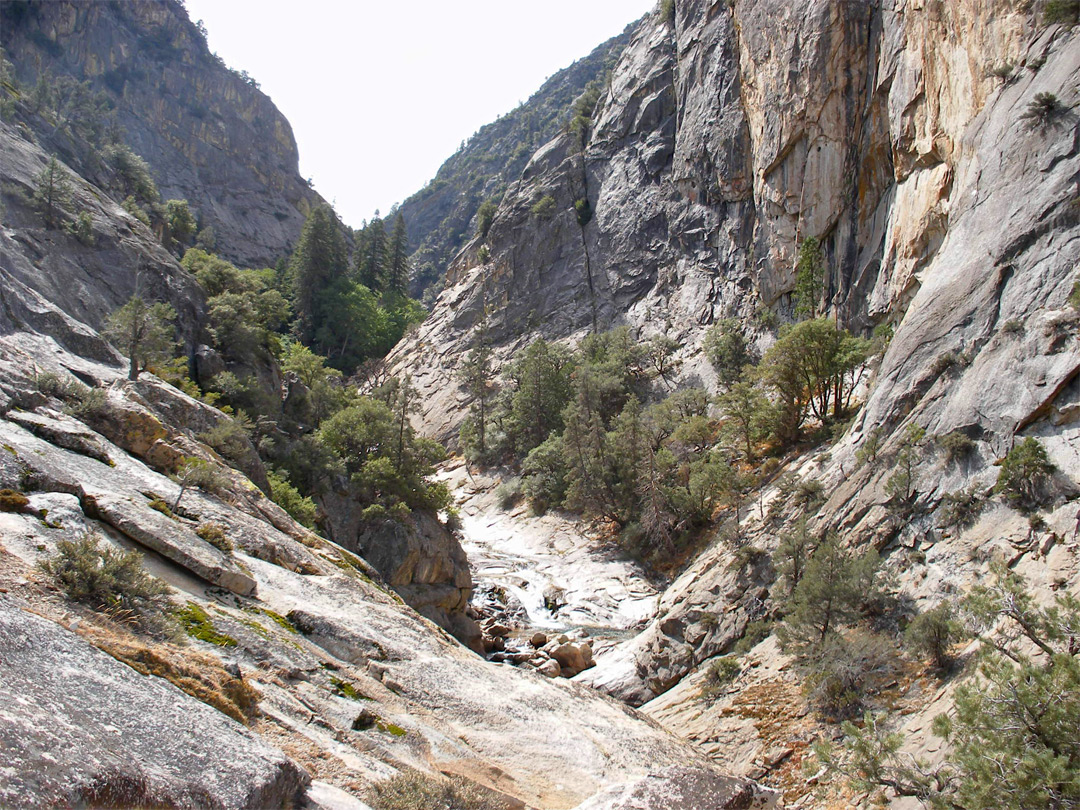 Roaring River Canyon