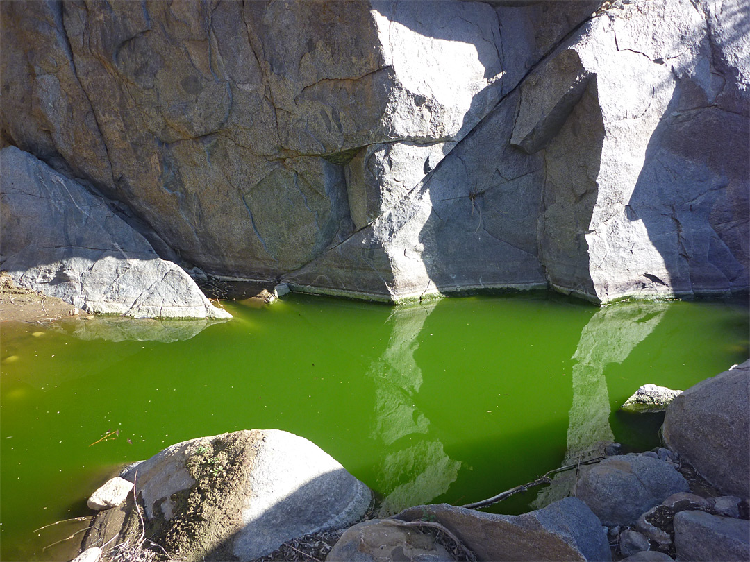 Green water pool
