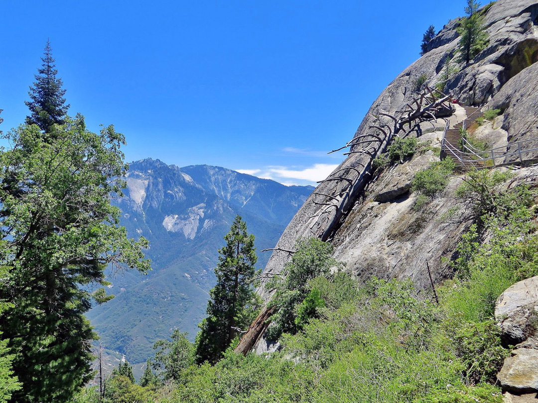 Steps up Moro Rock