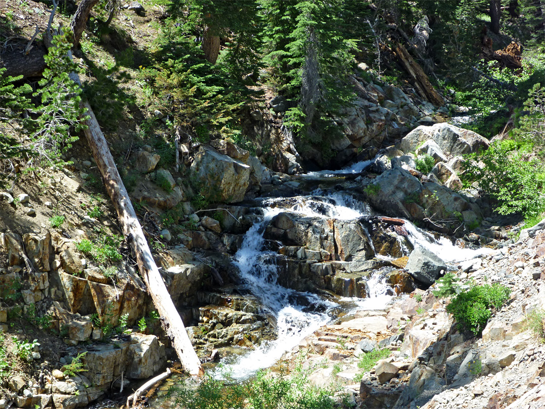 Mountain stream