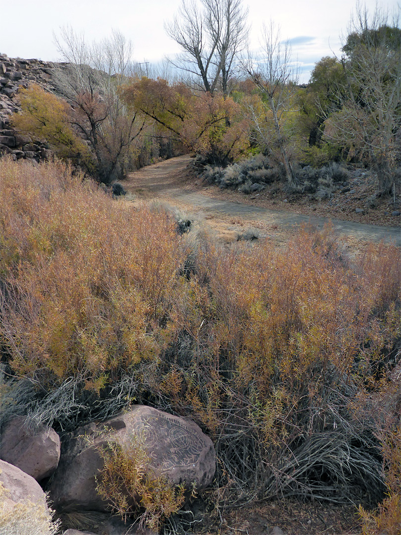 Shallow canyon