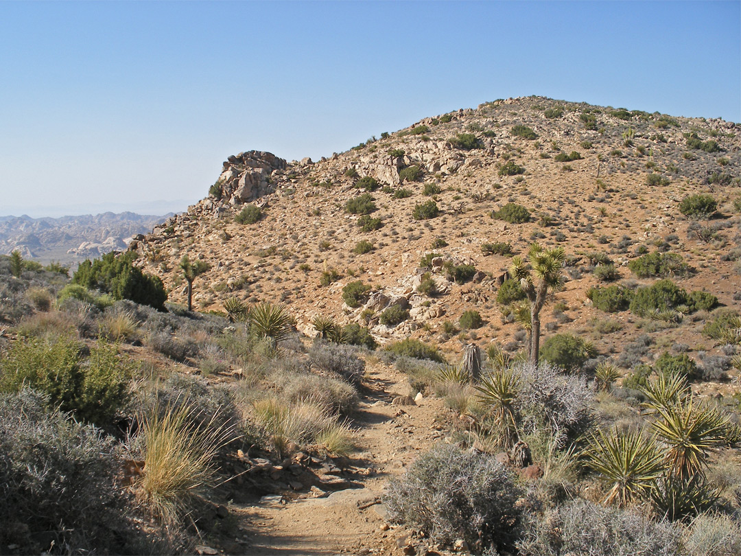 The trail, near the summit