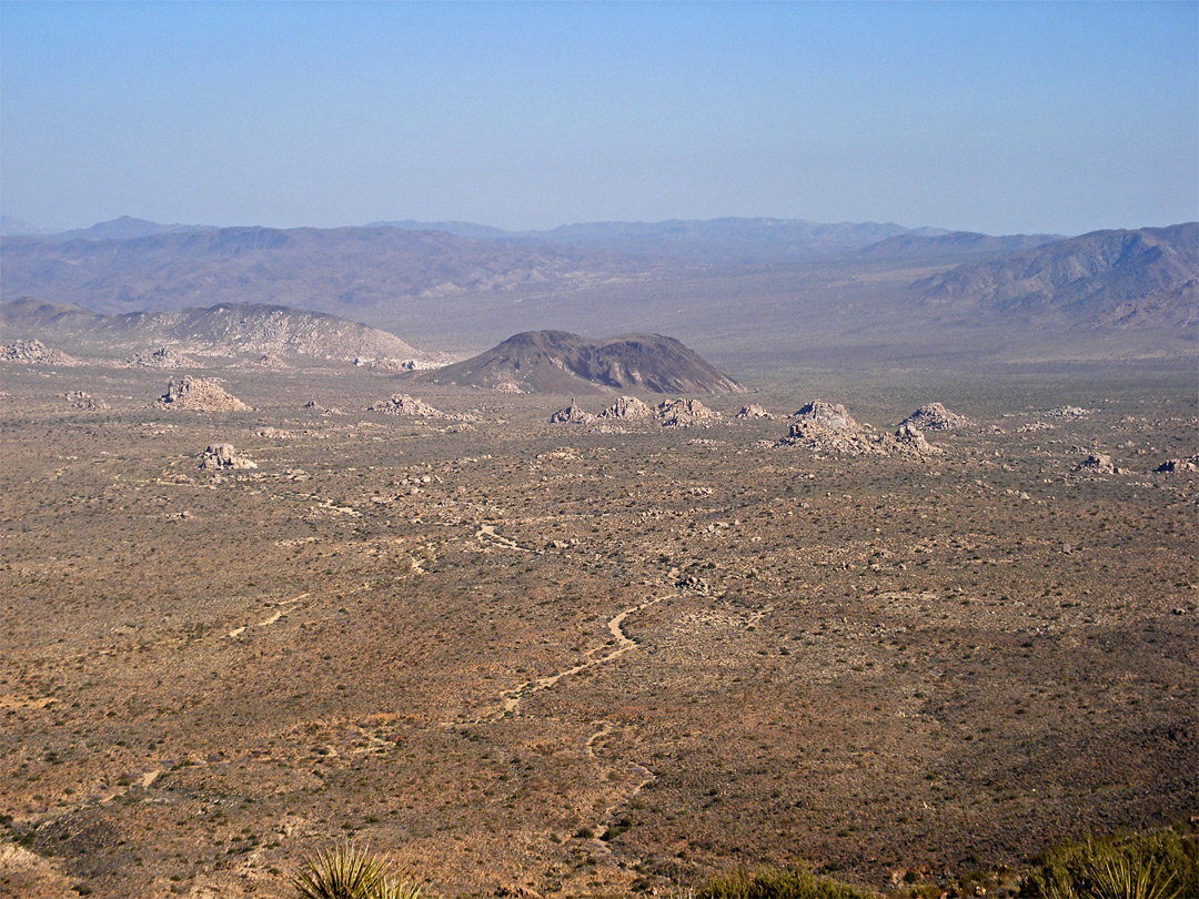Desert to the south