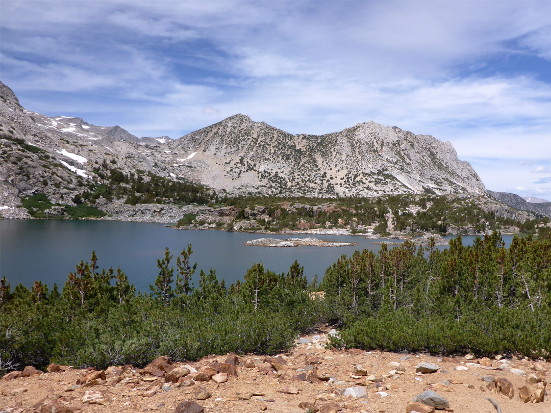 Trees beside Saddlerock Lake