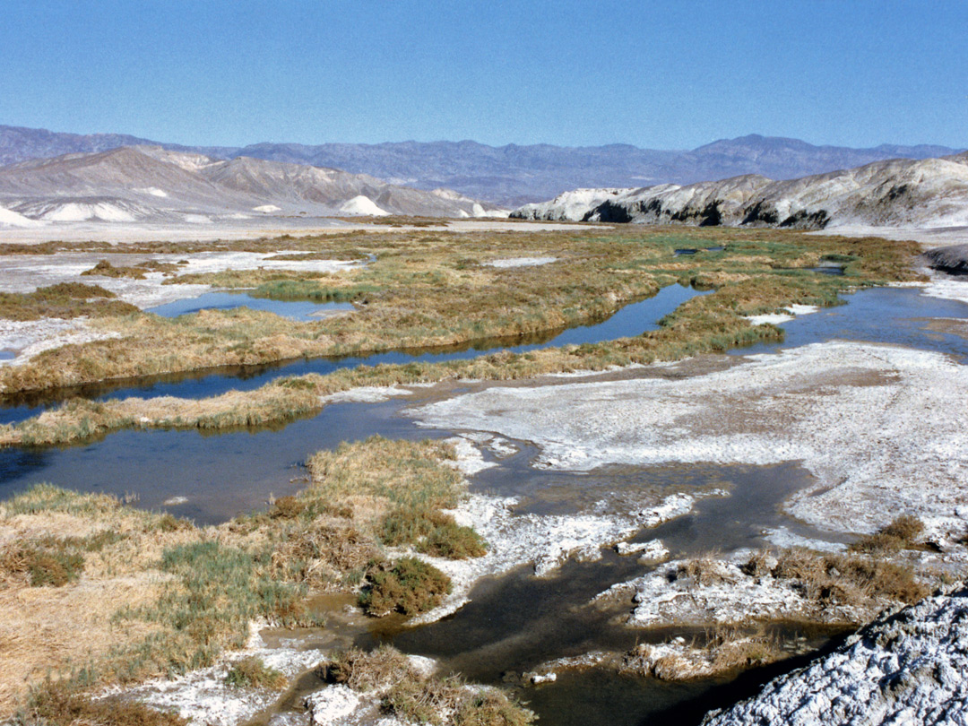 Salt Creek - view upstream