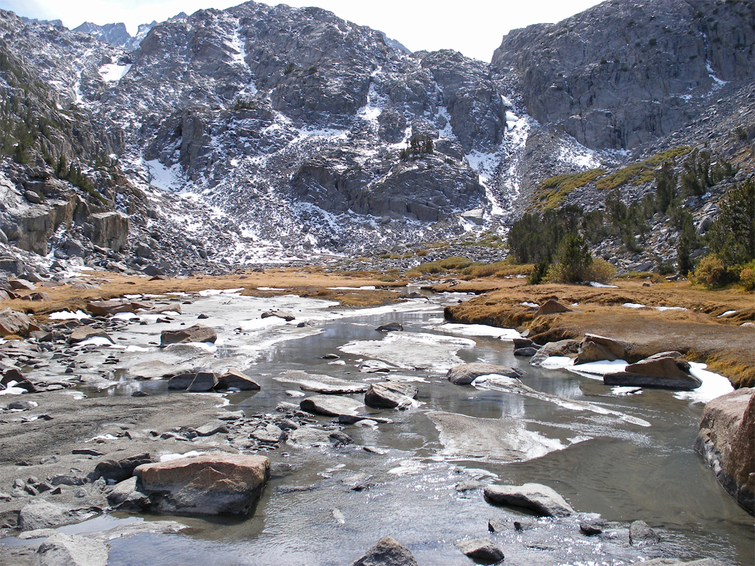 Sam Mack Meadow