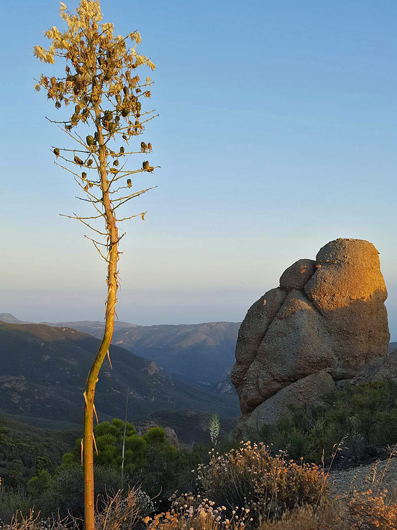 Sandstone Peak