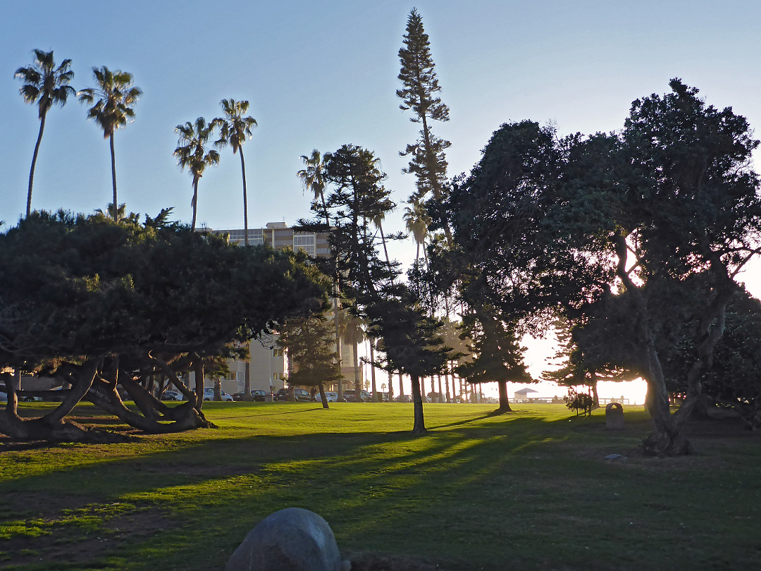 Scripps Park