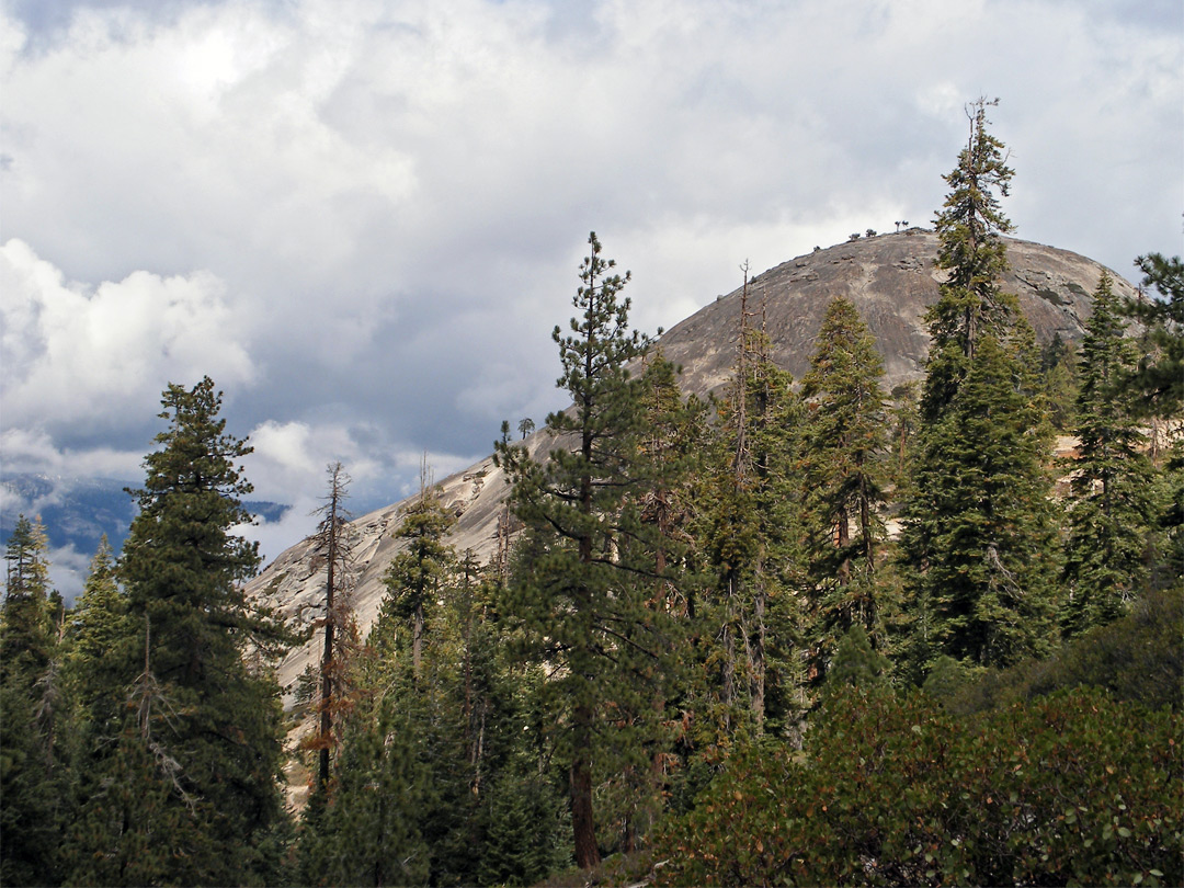 Sentinel Dome